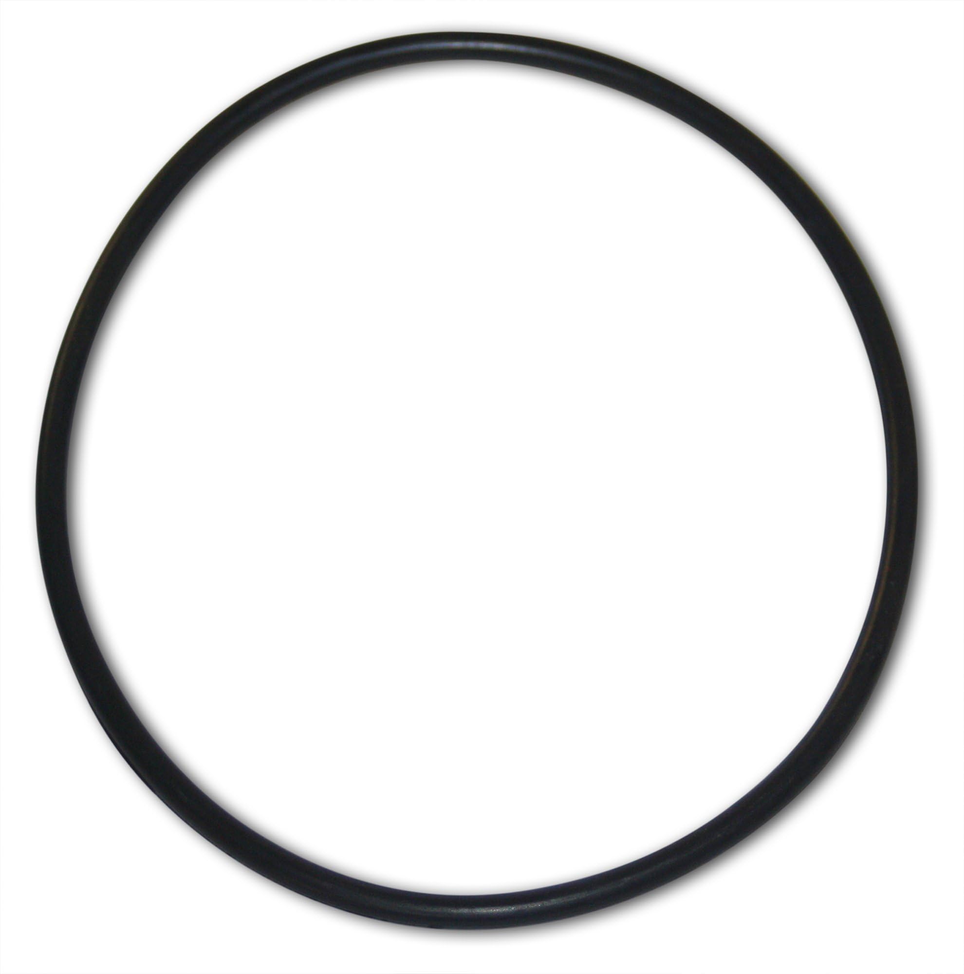 17342-01A00 Fuel Gauge O-Ring S13