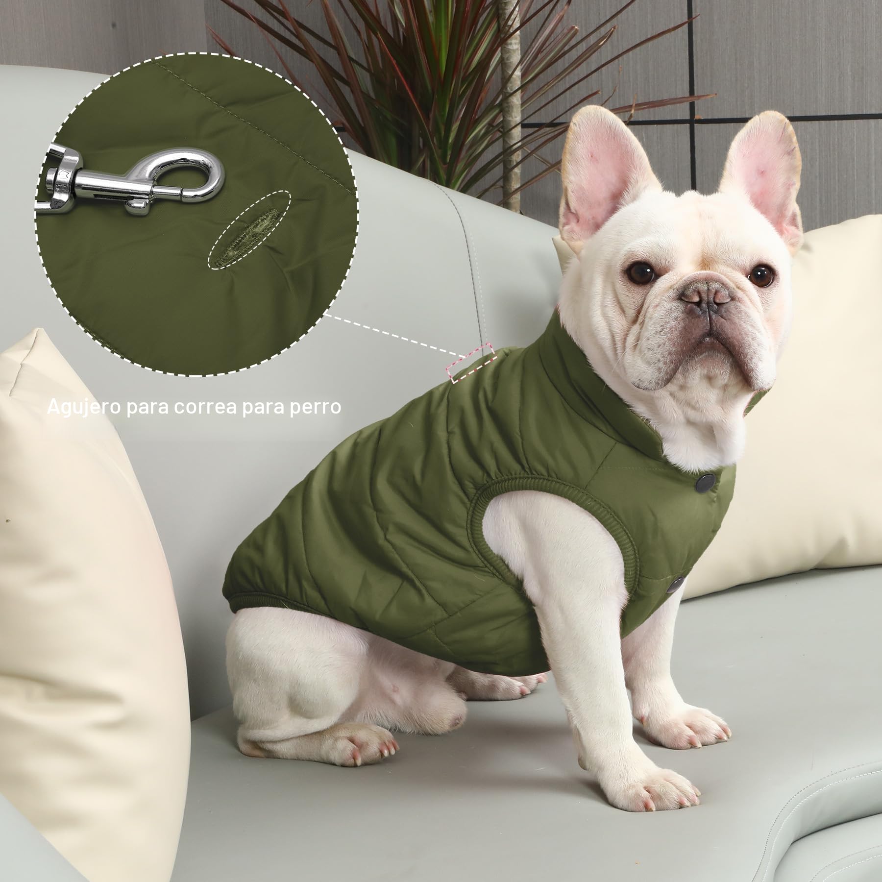 JoyDaog - Chaqueta de perro con forro polar de 2 capas para invierno y clima frío, extra suave, a prueba de viento, para cachorro y perros pequeños, verde, XS