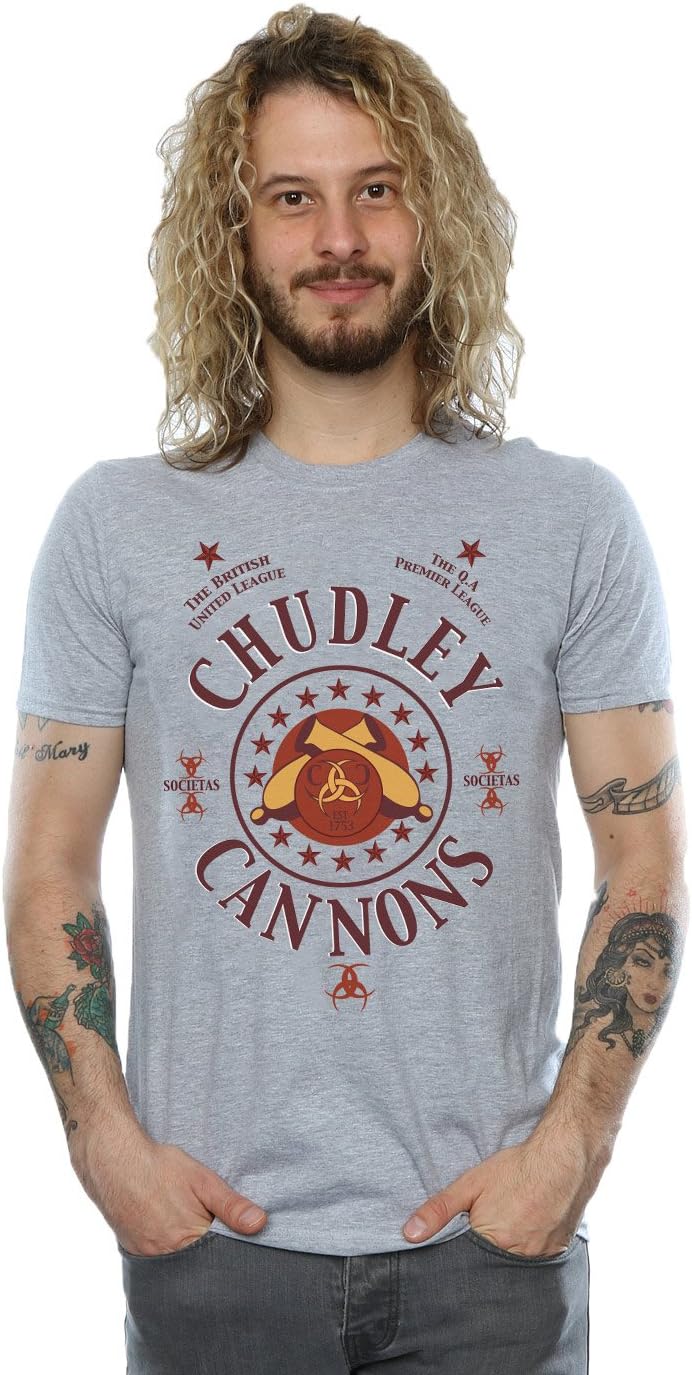 Harry PotterMen's Chudley Cannons Logo T-Shirt XX-Large Sport Grey