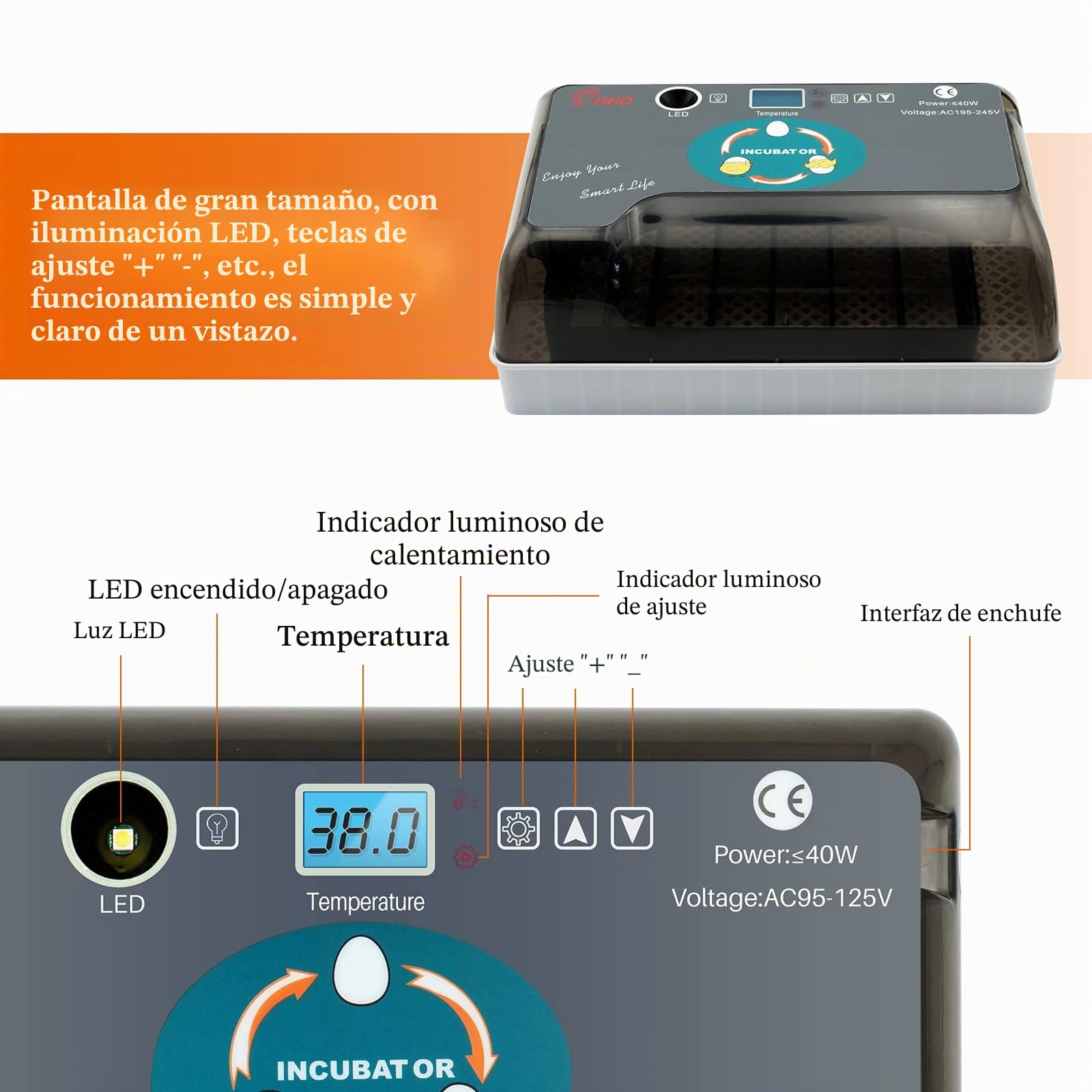 Incubadoras de Huevos para Incubar Huevos, Incubadora de 12 Huevos con Volteo Automático de Huevos y Control de Humedad, Incubadora de Huevos para Incubar Huevos de Pollito, Pato, Codorniz, Ganso