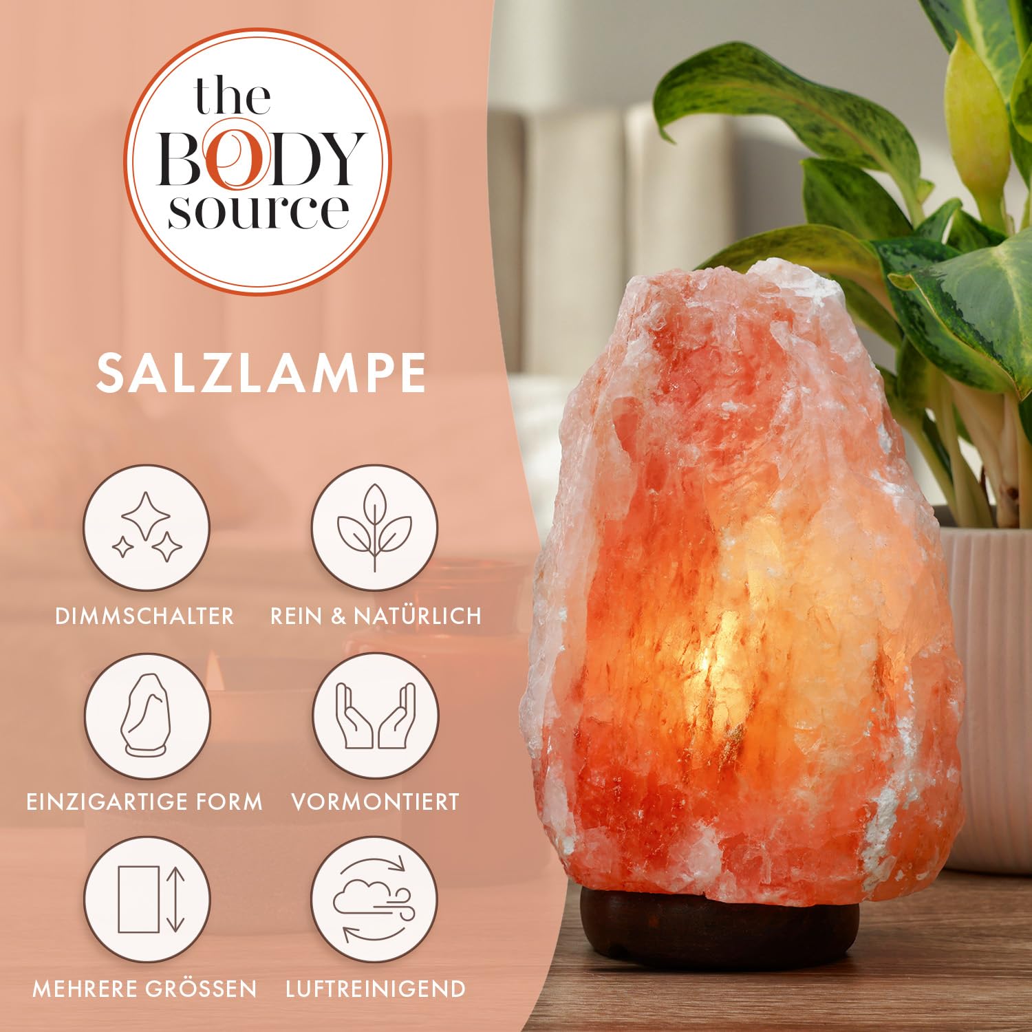 The Body Source Salzlampe (2-3 kg) mit Dimmerschalterlicht aus der Salt Range Pakistan auf einem Holzständer - Nachtlicht inkl. 1x 10W Glühbirnen und Geschenkbox