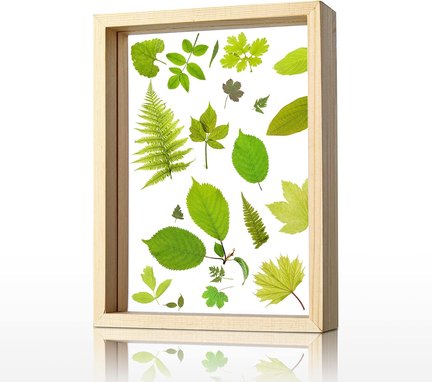 LONGWIN 4x6 Wood Picture Frames Double Sided Acrylic Plant Specimen Frame for Pressed Flowers Dried Leaf Display Table Decoration