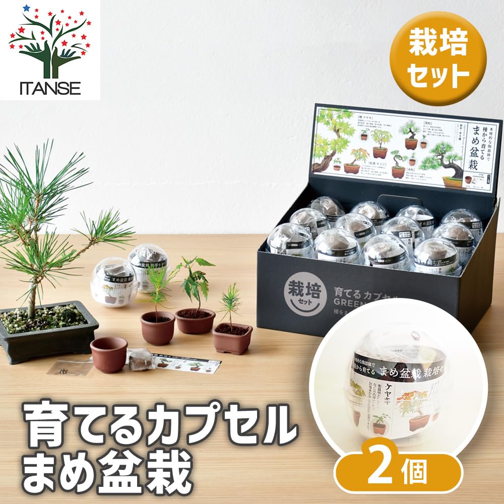 Amazon｜栽培セット 育てるカプセル まめ盆栽 栽培キット 2個セット 種