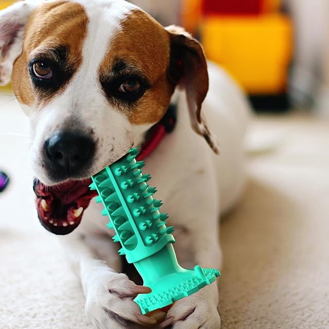 Foto 5 de 8 de Juguete de limpieza dental para perros