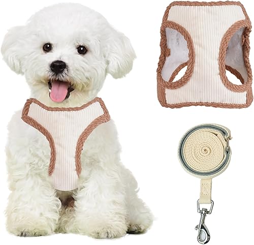 JOYPAWS Arnés de chaleco para perros medianos y grandes, juego de arnés y correa para perro, arnés de felpa sin tirones, ligero y ajustable, fácil