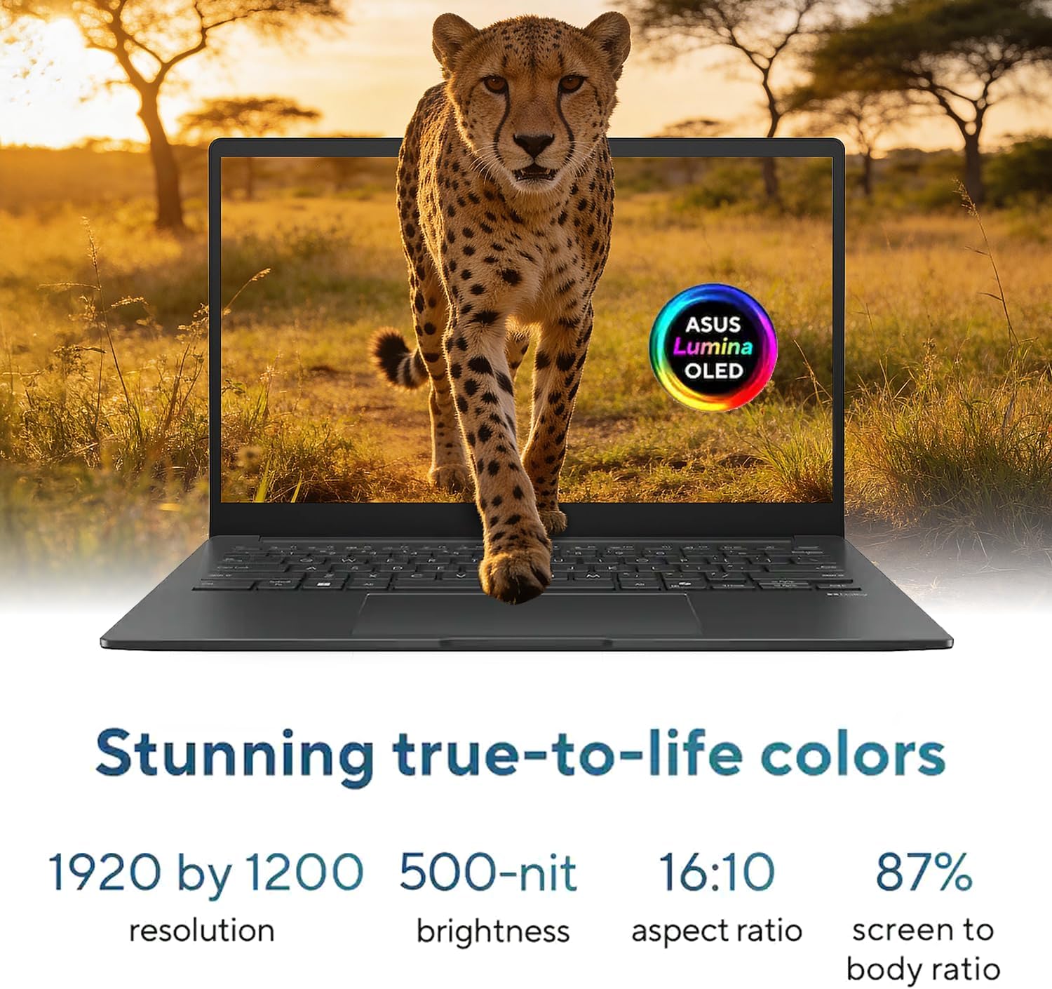 ASUS Zenbook 14’’ Wuxga OLED Touchscreen Laptop, Intel 16-Core Ultra 7 255H Processor, Intel Arc GPU, 16GB LPDDR5 RAM 512GB SSD, Backlit, Thunderbolt 4, WiFi 7, Windows 11 Pro with Lifetime MS Office