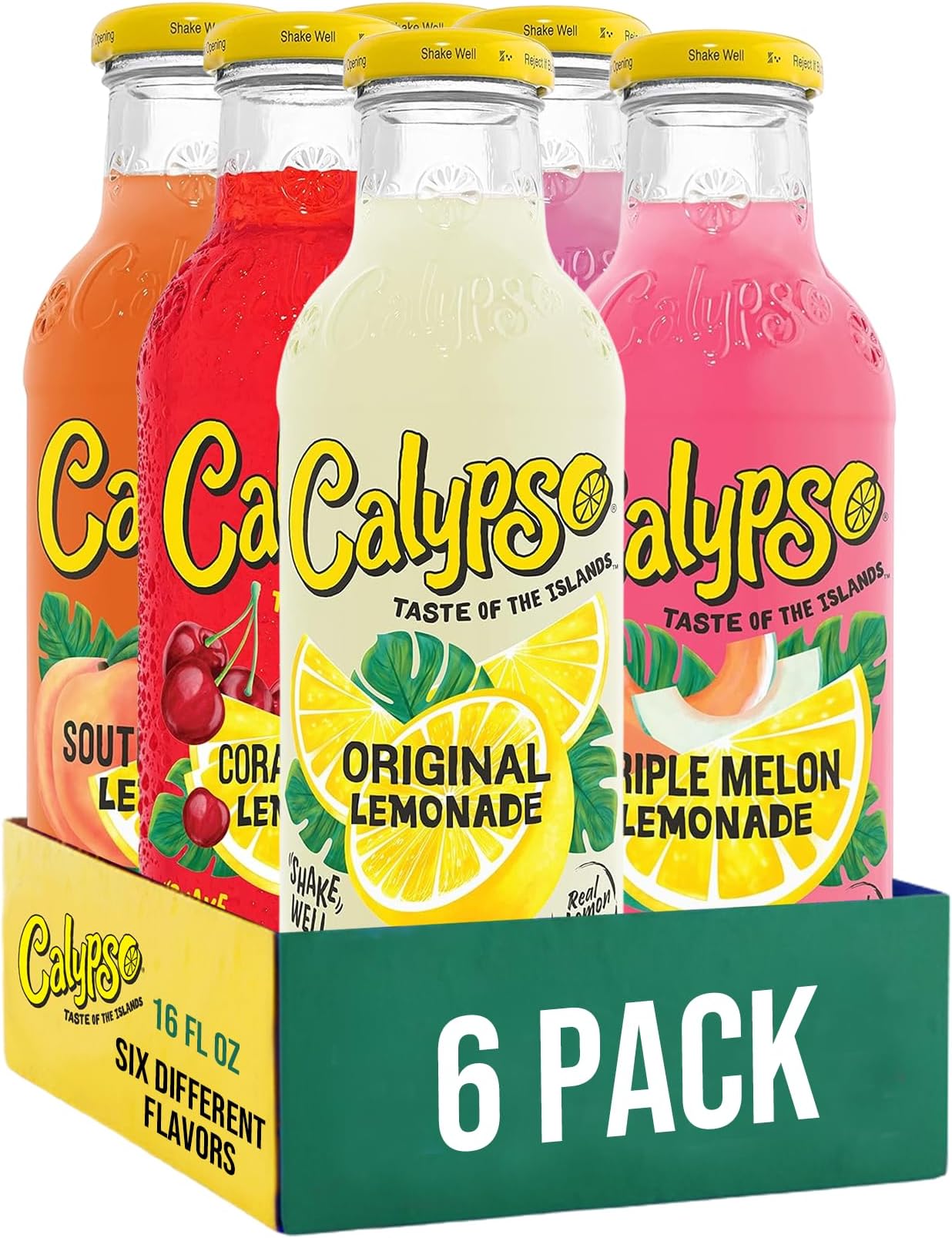 Lemonade, 6 Flavor Variety Pack, Made with Real Fruit, 16 Fl Oz Glass Bottles (Pack of 6)