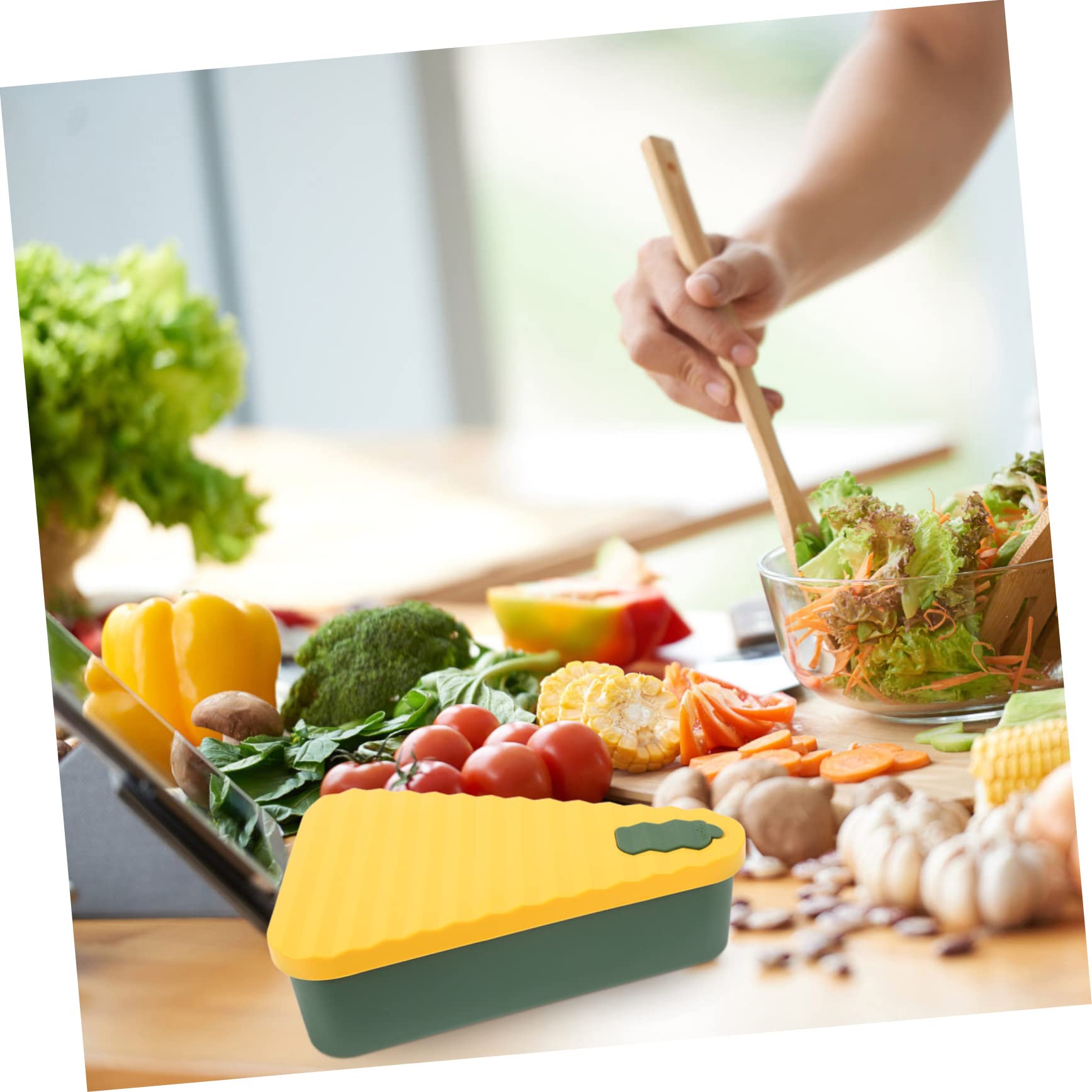 PRETYZOOM Silicone Pizza Holder Container Reusable Pizza Storage Box Vacuum Seal Lid Food Storage for Leftovers