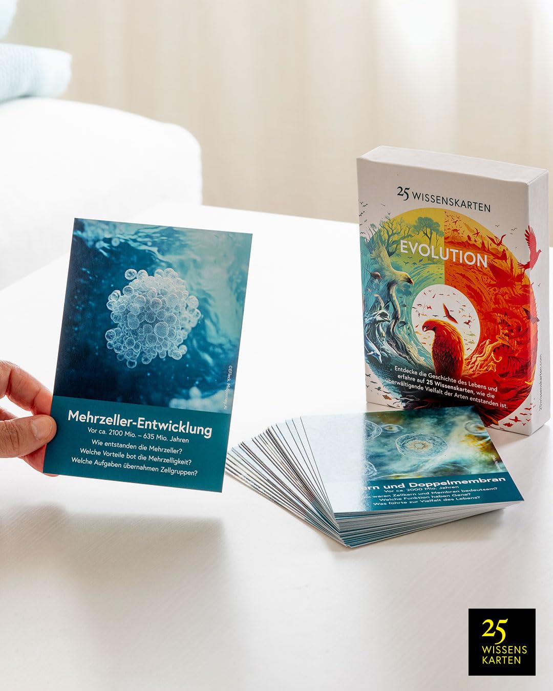 Die 25 Wissenskarten-Trilogie: Universum, Evolution, Philosophie: Der Wissens-Boost im Kartenformat (25 Wissenskarten: Die Wissens-Serie zum Sammeln)