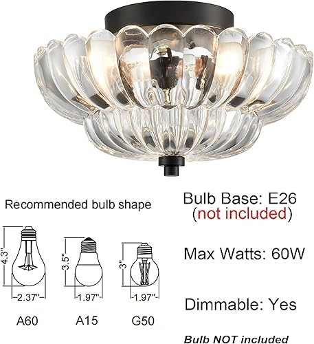 Miniatura 3 de HYDELITE Lámpara de techo moderna negra tradicional semiempotrada con vidrio transparente festoneado para sala de estar, pasillo, cerca de la