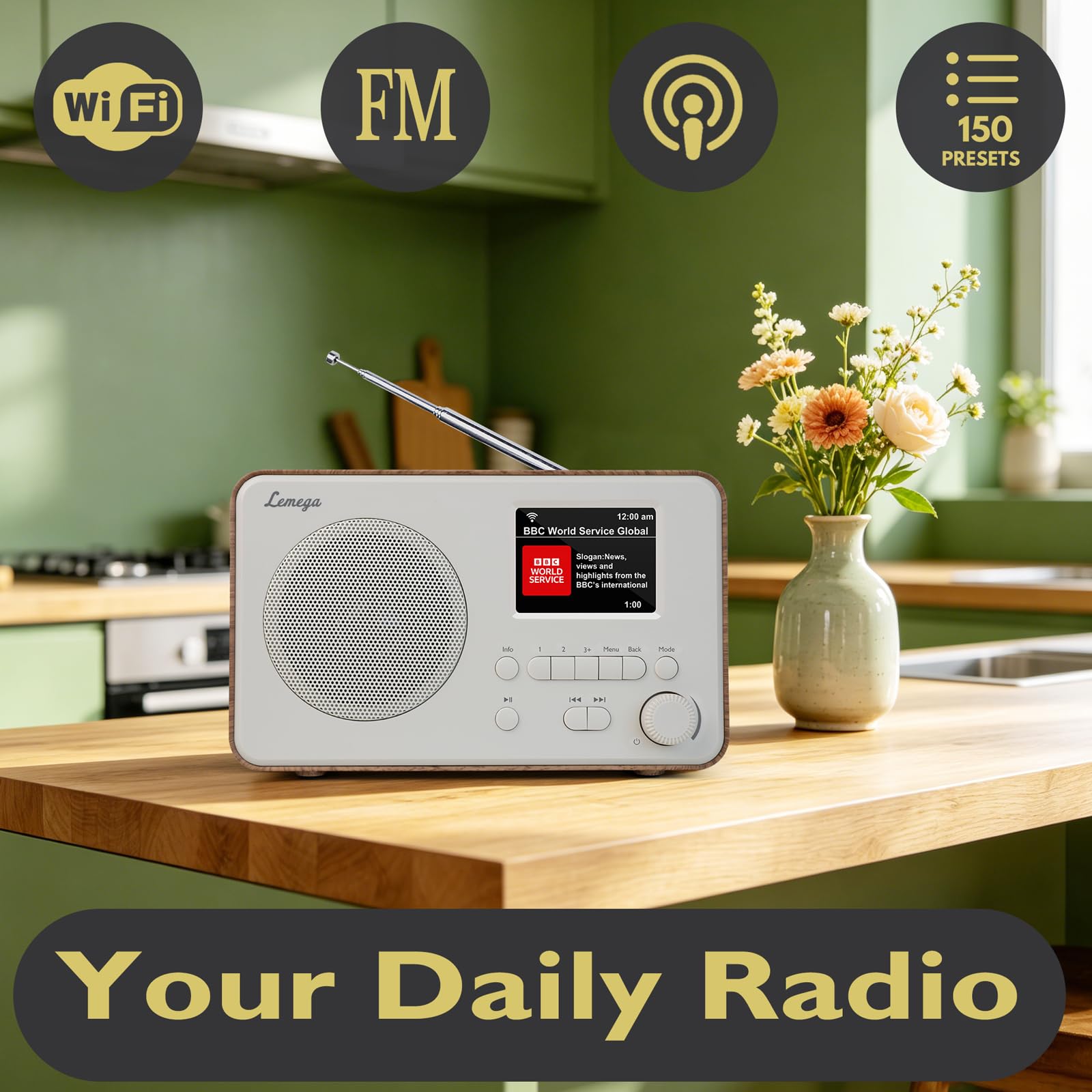 IR1S Internet Radio Walnut (orzech włoski)