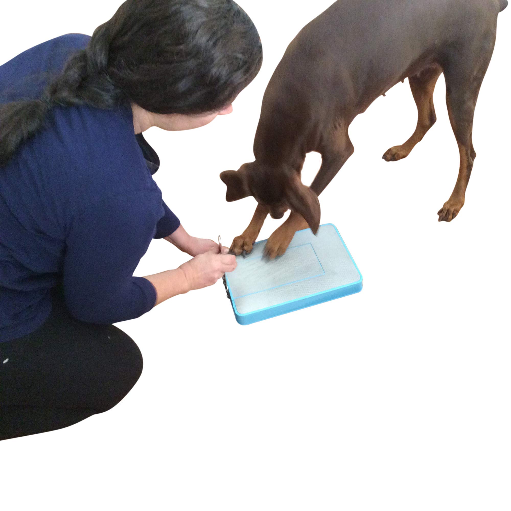 dog nail grinder australia
