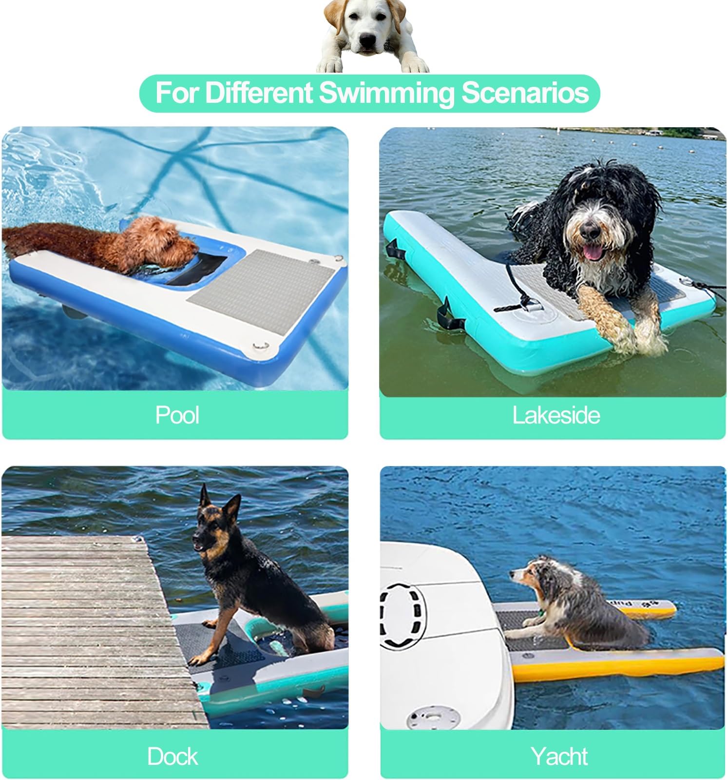 rampa de Agua para Perros Rampa Inflable para Perros con Espuma EVA Antideslizante, Escalera Flotante para Perros Grandes (hasta 104 kg), Ideal para Barcos, Lagos y Yates.(Red)