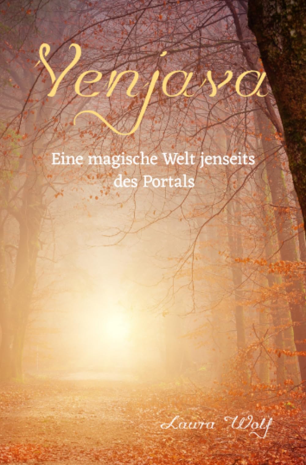 Venjava Eine magische Welt jenseits des Portals: Band 1