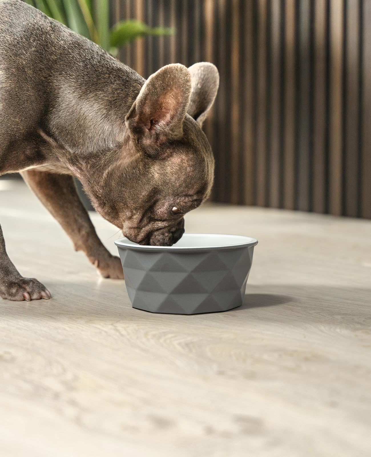 lionto Futternapf aus Keramik mit rutschfestem Silkonboden, 550 ml, Hundenapf aus robustem & geruchsneutralem Material, leicht zu reinigen, ergonomisches Design, Wassernapf für Hunde&Katzen, grau