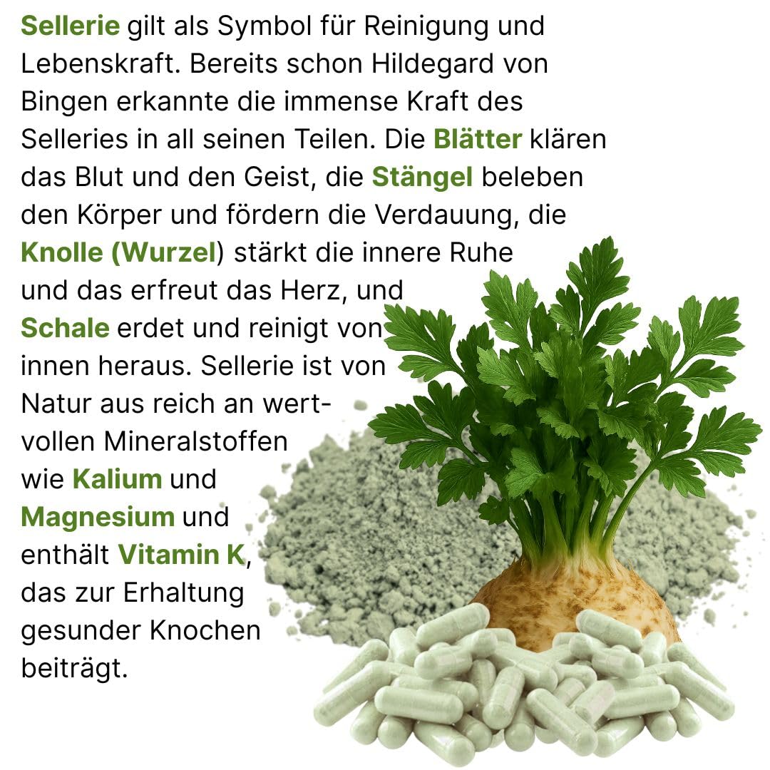 SELLERIE 1080 (3x360) Kapseln Wurzel Schale Blätter Stängel BLUT Magen LEBER Darm NIEREN Blase VERDAUUNG nach Hildegard von Bingen. 100% NATUR pur. OHNE ZUSATZSTOFFE. 26320-7
