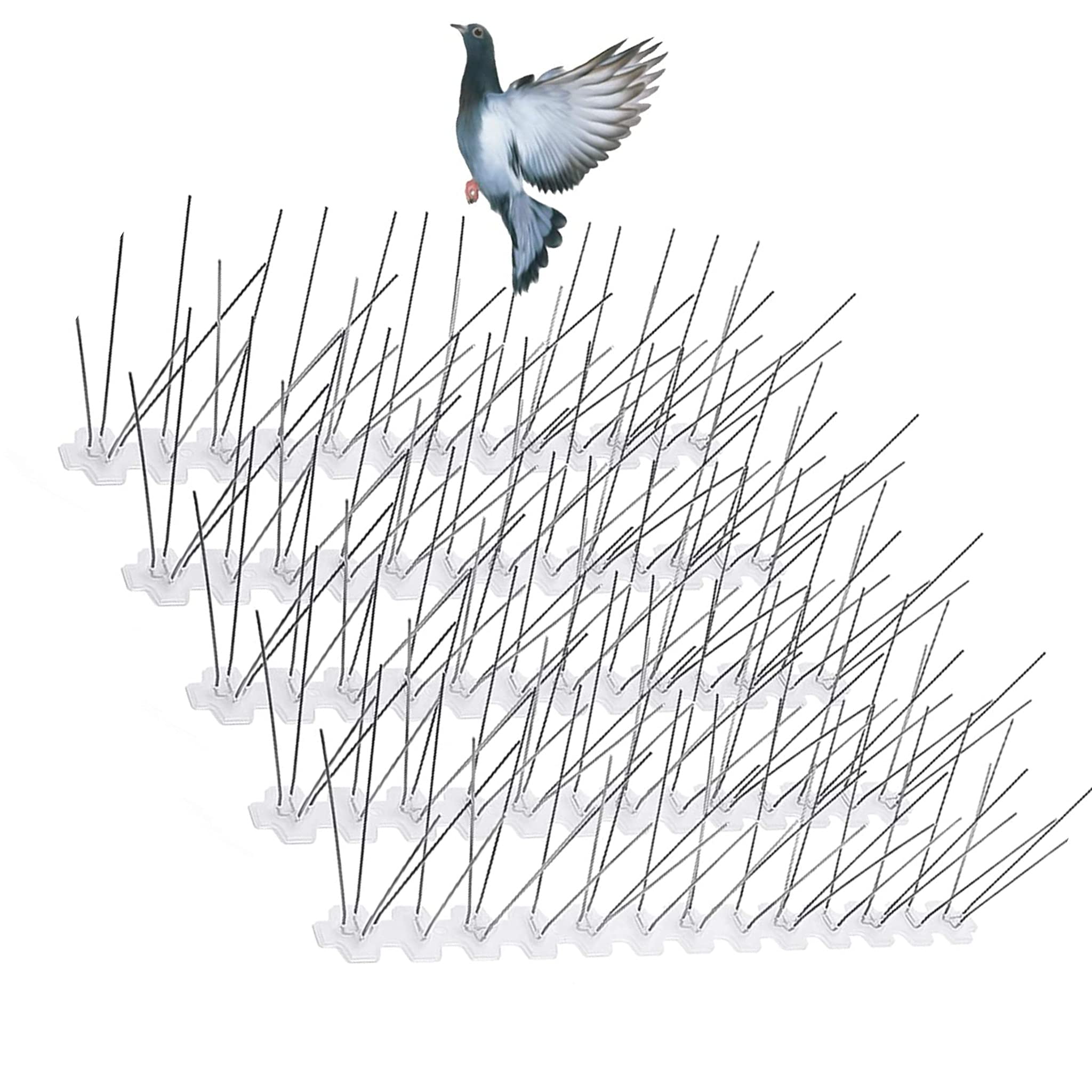Bricoloco Pinchos antipalomas Acero Inoxidable 50 púas Base policarbonato protección UV. Elija cantidades. Sistema Profesional antiplagas pájaros y Animales trepadores. (10 Metros-20 Tiras)