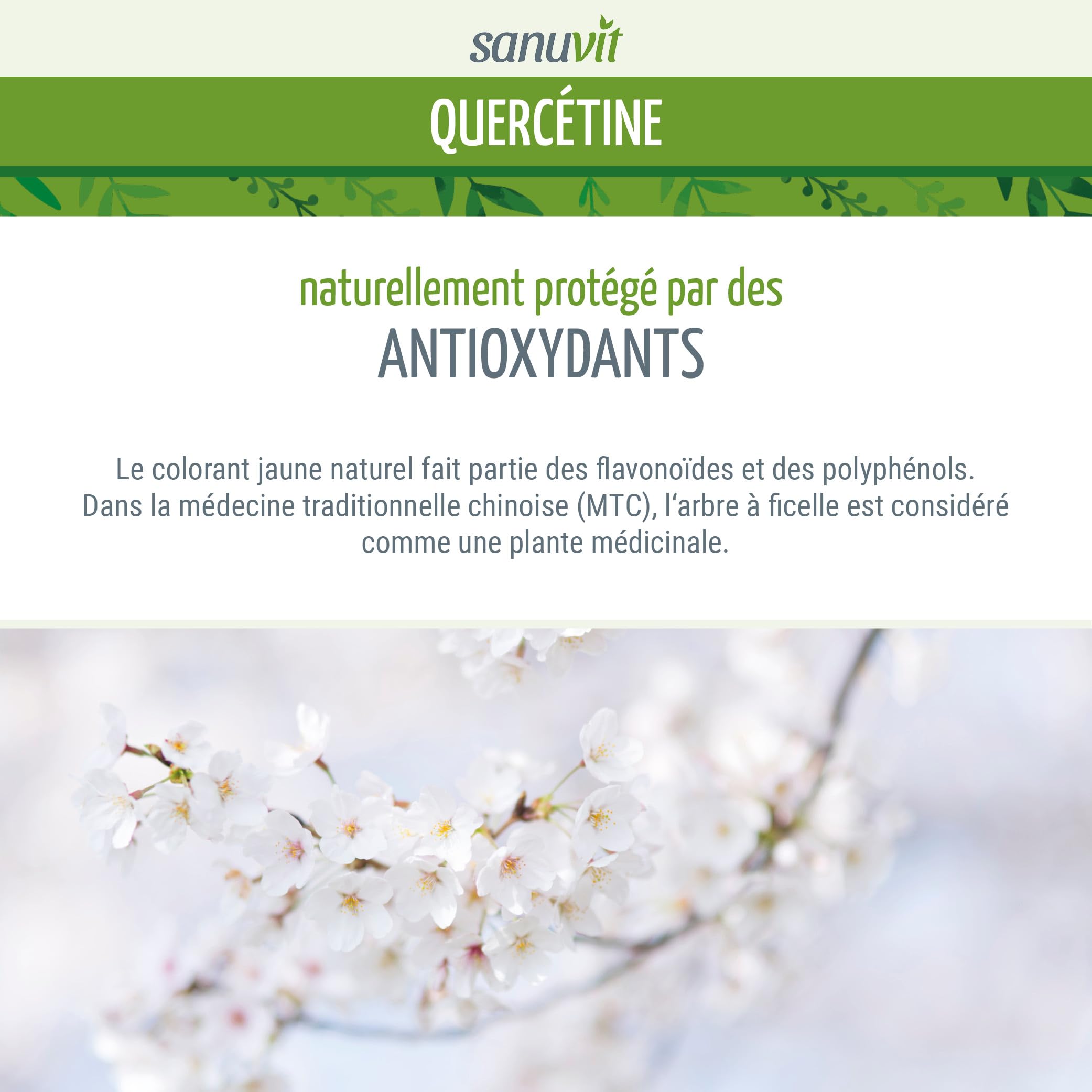 Sanuvit® - Quercétine 500 mg gélules | Dose élevée | Haute biodisponibilité et tolérance | Végétalien | 120 gélules