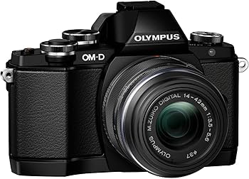 OLYMPUS OM-D E-M10 II シルバーカメラセット OLYMPUS OM-D E-M10 シルバー – ねりま中古カメラきつね堂