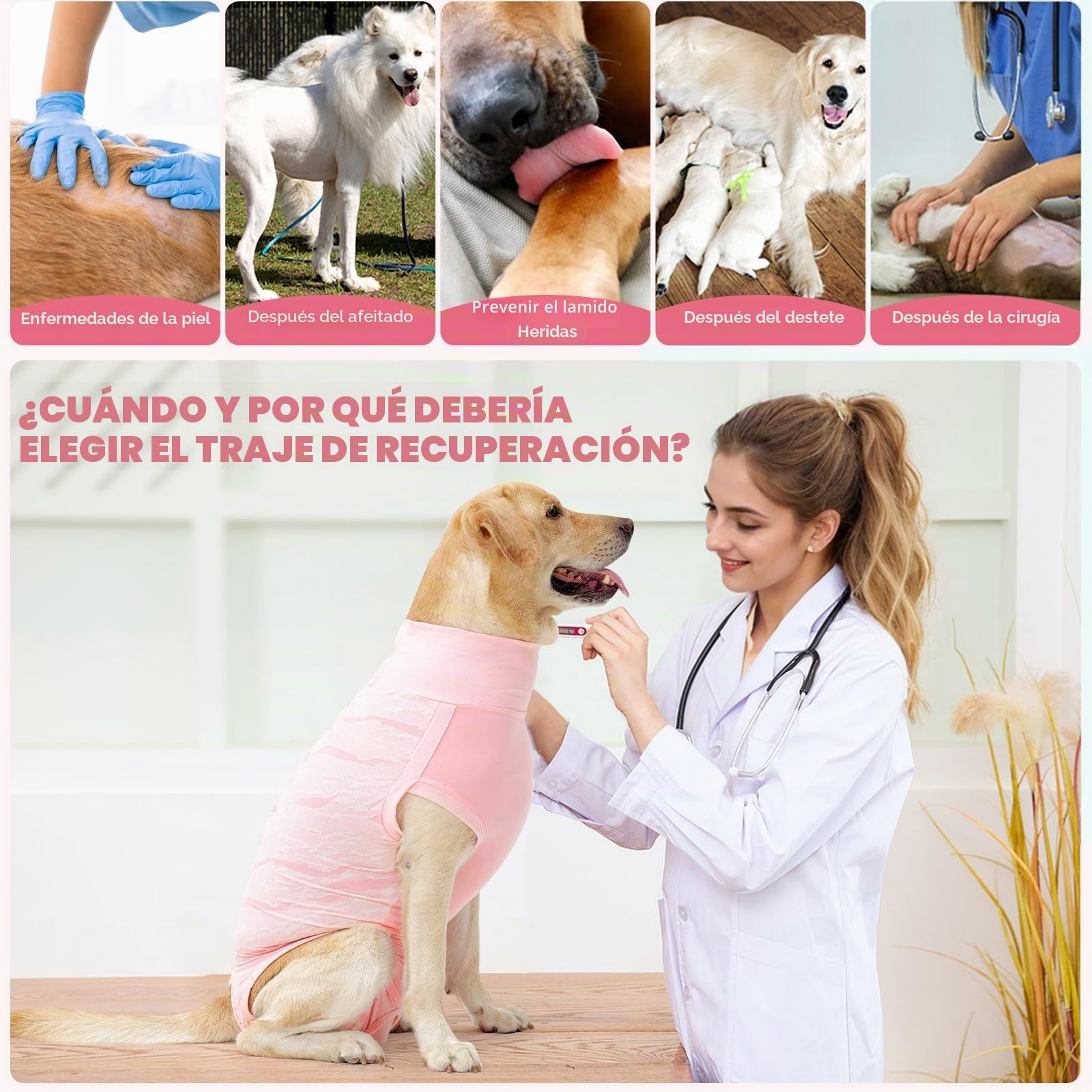 Dotoner Traje de recuperación de cirugía para Perros,Chaleco de recuperación para Perros y Gatos, Ropa quirúrgica médica para Cachorros,Alternativa de Cuello Electrónico y Cono