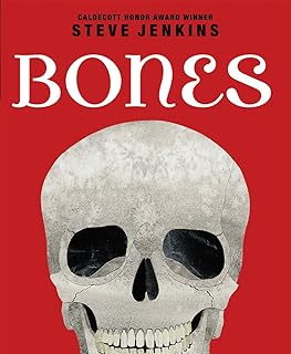 Scholastic Bones, Skeletons And How They Work