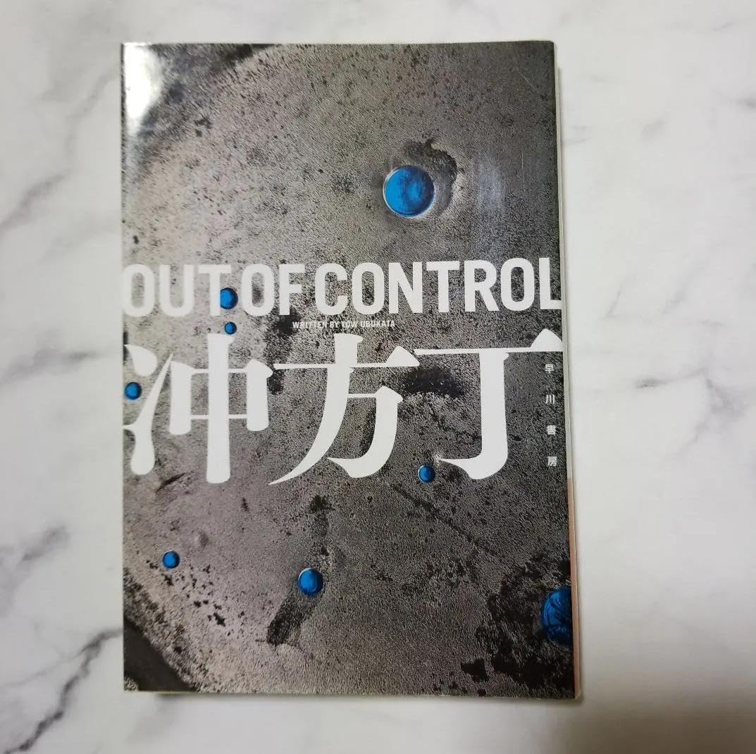 SOU・SOU 枯山水 絹鼠✖️鳥の子色 新品未使用 カシミヤ SOU-SOU ALPHA