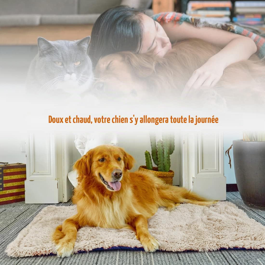 Matelas pour Chien Réversible Couverture Lavable Doux Peluche Coussins Tapis de Voyage Extérieur pour Animaux de Compagnie Convient aux Grands Moyens et Petits Chiens et Chats, Bleu 110x70cm