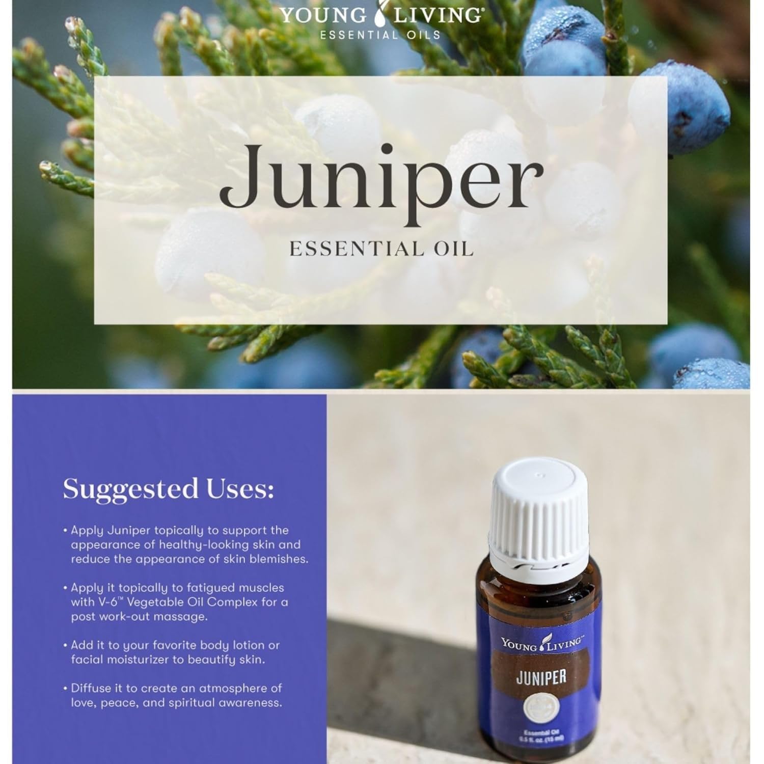Amazon.com: Young Living Juniper Essential Oil | 15 ml | Supports