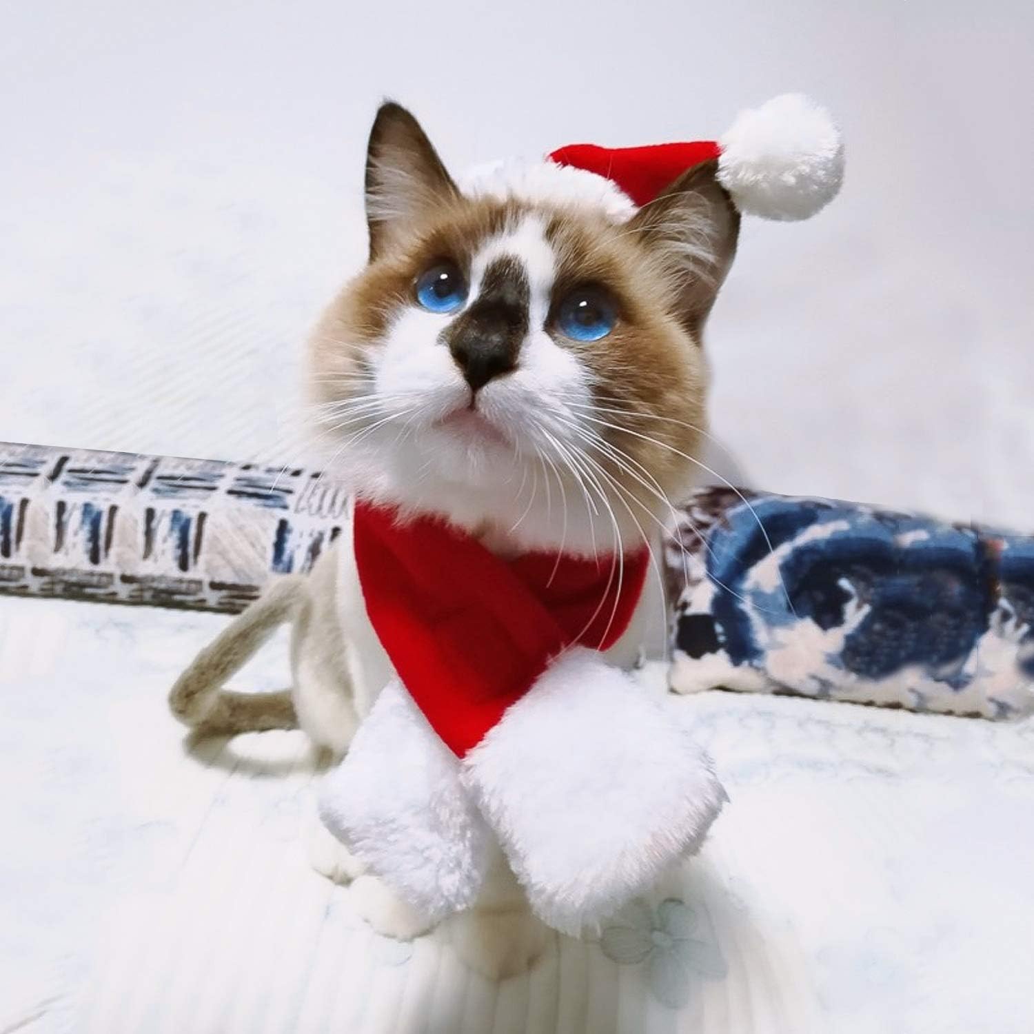 Cat Santa Christmas Hat + Muffler + Elk Antler Reindeer Hat image 3