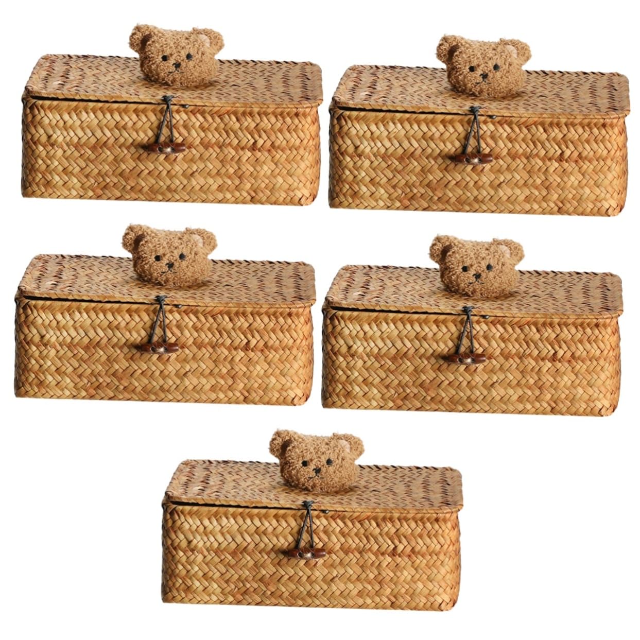 Gatuida 5 Pz cestino portaoggetti cesti portaoggetti cesta portaoggetti vimini scatole di immagazzinaggio con coperchi roti contenitore da tavolo organizer in paglia intrecciata Cannuccia