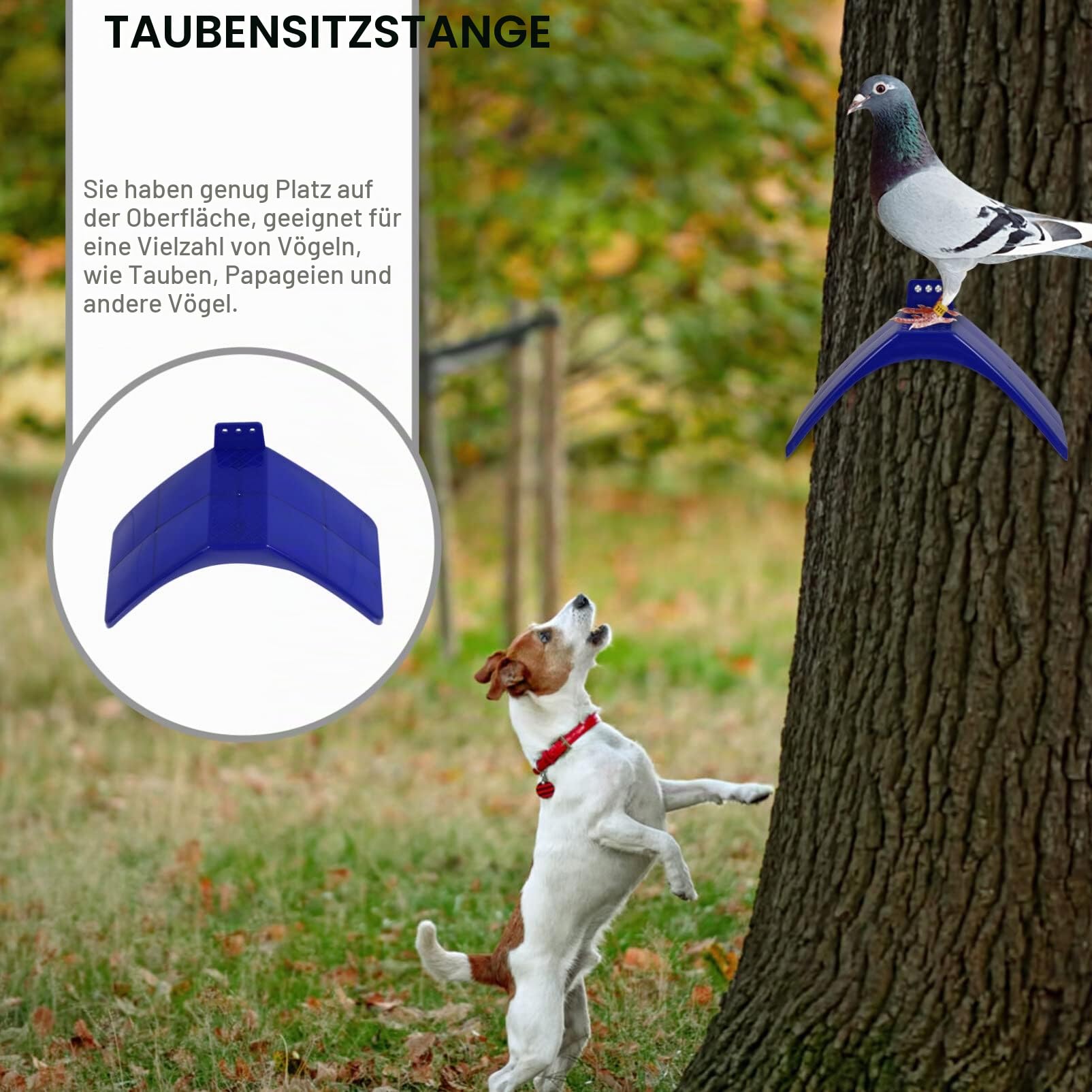 VILLCASE 30 Stück Kunststoff Taubenstütze Taubensitzbrett Mit Schrägdach-Design Kotabweisender Taubenständer Für Vogelkäfige Taubenruhe Halter Rahmen 7.87X3.94X4.72In Zubehör Für Taubenschläge