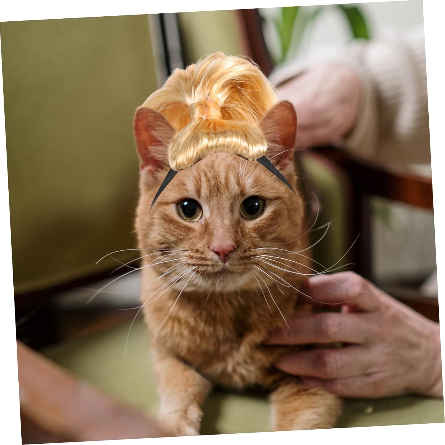 POPETPOP 4pcs Pet Curls Wig Hat for Dogs and Cats Adorable Headpiece Elastic Strap for Comfortable Wear for Parties Dress-up and Pet Cosplay Fun Accessory