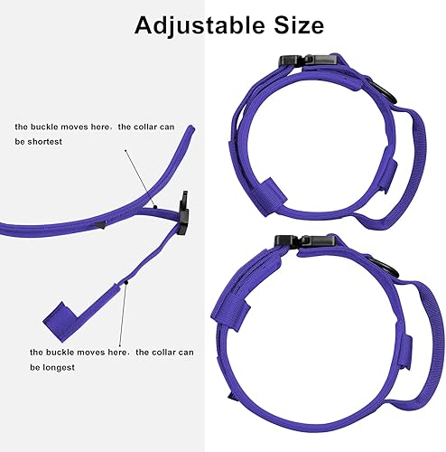 Miniatura 144 de DAGANXI - Collar táctico para perro, collar ajustable de nailon para adiestramiento con asa de control y hebilla, para perros medianos y grandes