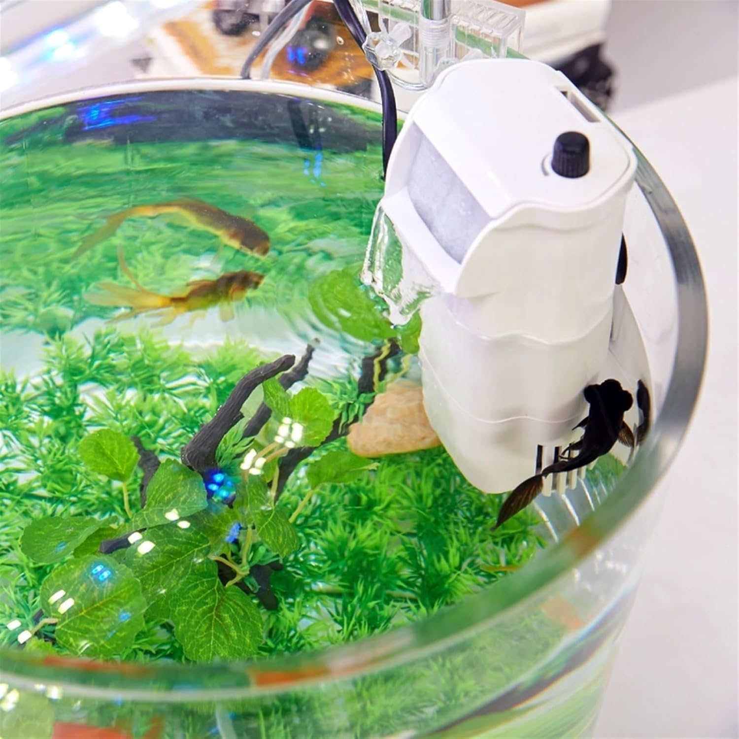 特大ガラス瓶、駄菓子瓶、金魚鉢、メダカ鉢、ドライフラワー、ガラス