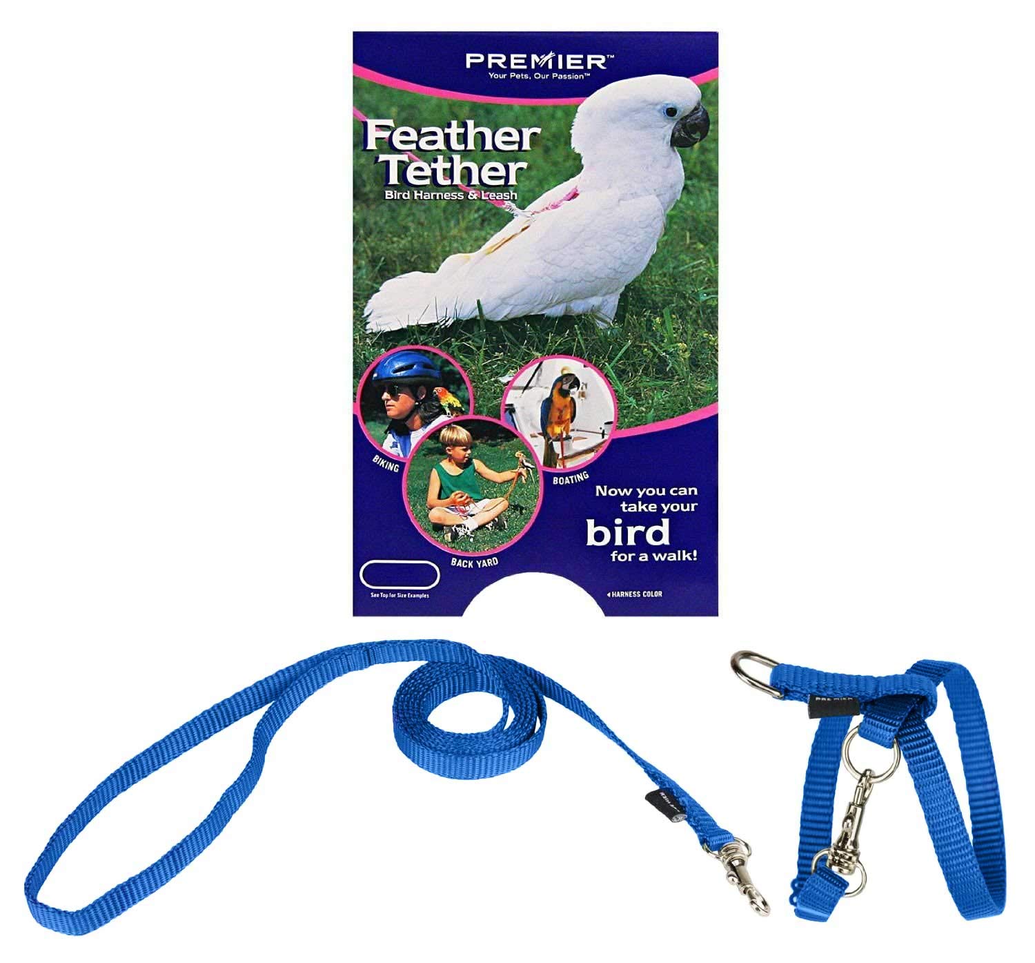 Amazon.co.jp: PetSafe (Premier) Bird Harness Feather Tether Small Royal  Blue (with lead) : Pet Supplies