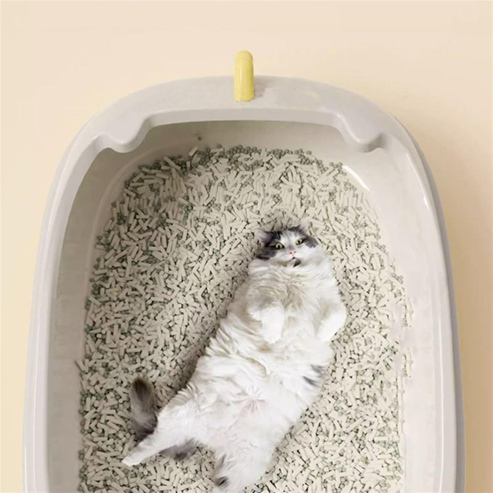Exclusivo para Gatos y Perros Caja de Arena for Gatos Bandeja for Mascotas for Orinal Abierta for con Pala Orinal Duradero antisalpicaduras Suministros for para Interiores(Green)