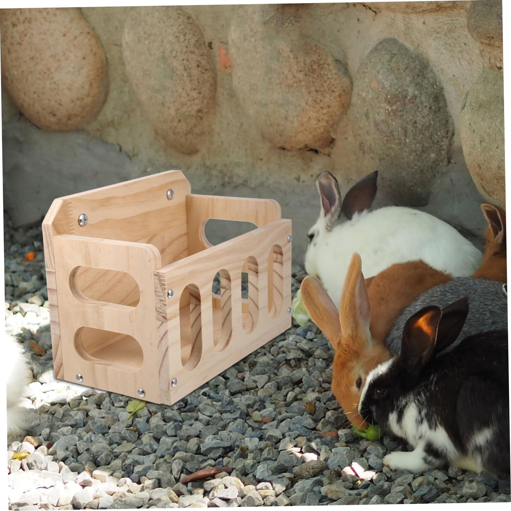 Râtelier à Lapins en Bois Khaki pour Cage, Design Fixe Anti-gaspillage