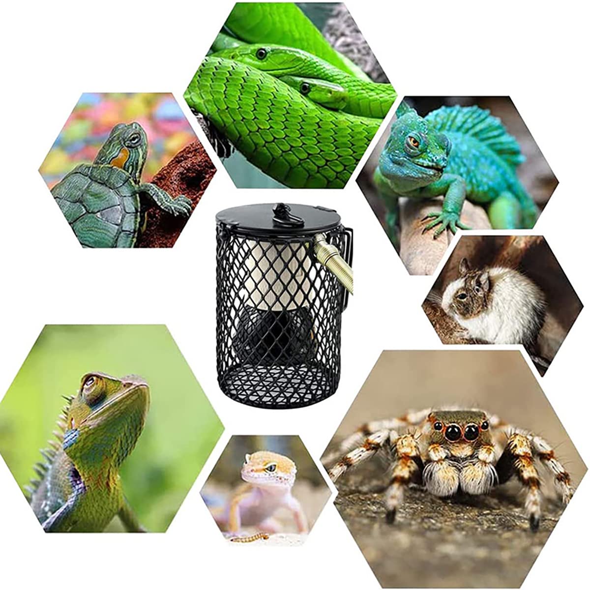 Lámpara Calor Reptil con Guardia, Interruptor Ajuste Lámparas Calor Cerámica, Calentador Calor De Reptil con Termostato, para Lagarto, Tortuga, Serpiente,80W