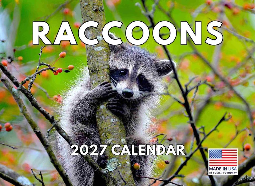 Raccoon Calendar 2027 Monthly Wall Calender 12 Month โ image 1