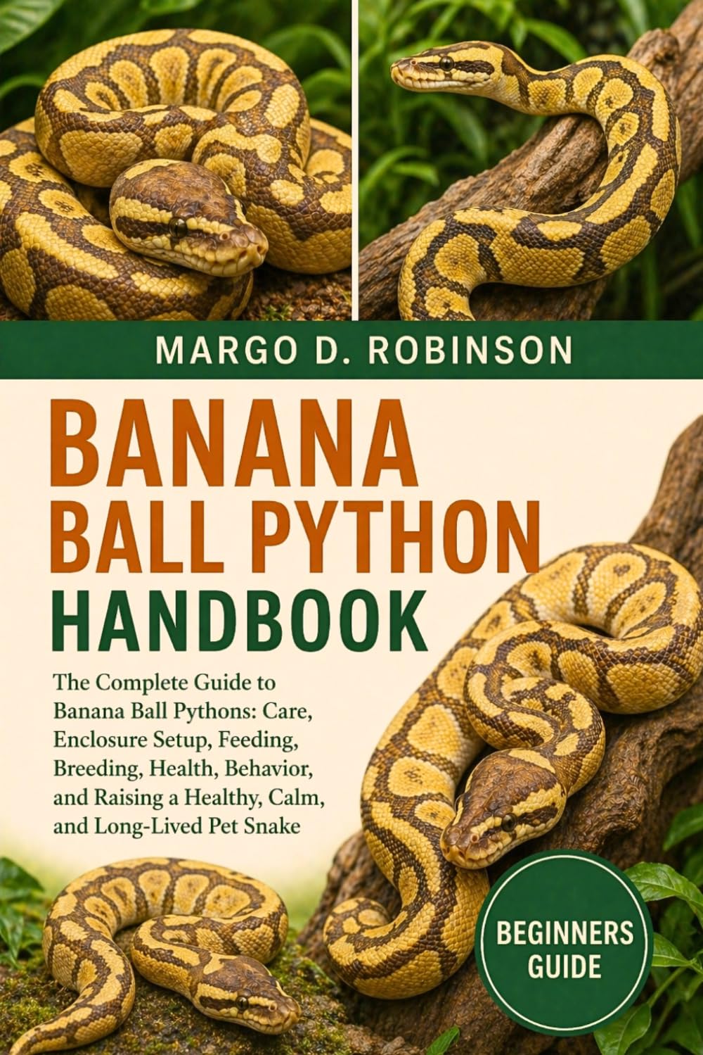 BANANA BALL PYTHON HANDBOOK: The Complete Guide to Banana Ball Pythons: Care, Enclosure Setup, Feeding, Breeding, Health, Behavior, and Raising a Healthy, Calm, and Long-Lived Pet Snake