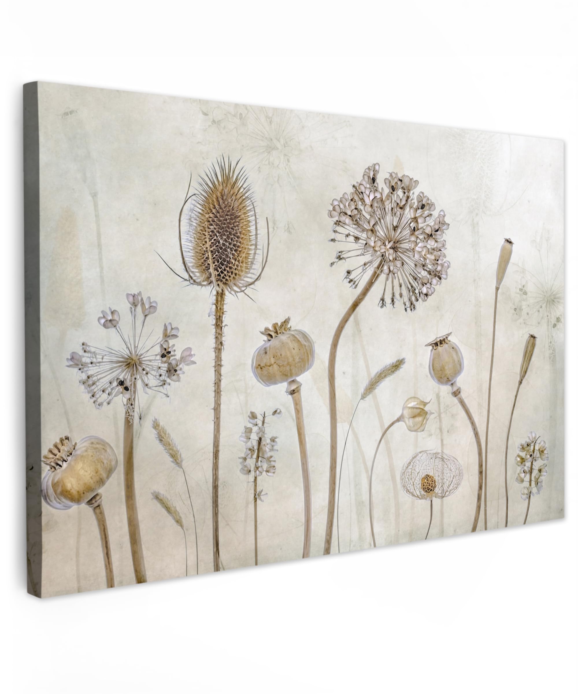 MuchoWow© Quadros Decoração Sala 120x80 cm Cuadros Decoracion Dormitorios Lienzos Decorativos para Dormitorios Modernos Flores - Acuarela - Naturaleza muerta - Marrón - Vintage