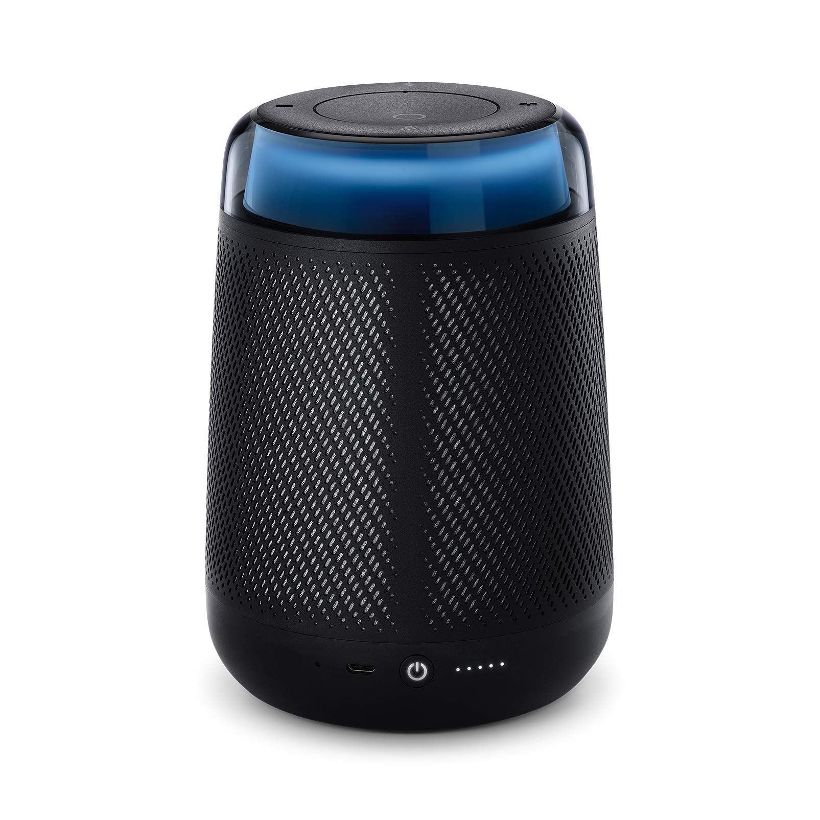 portable alexa