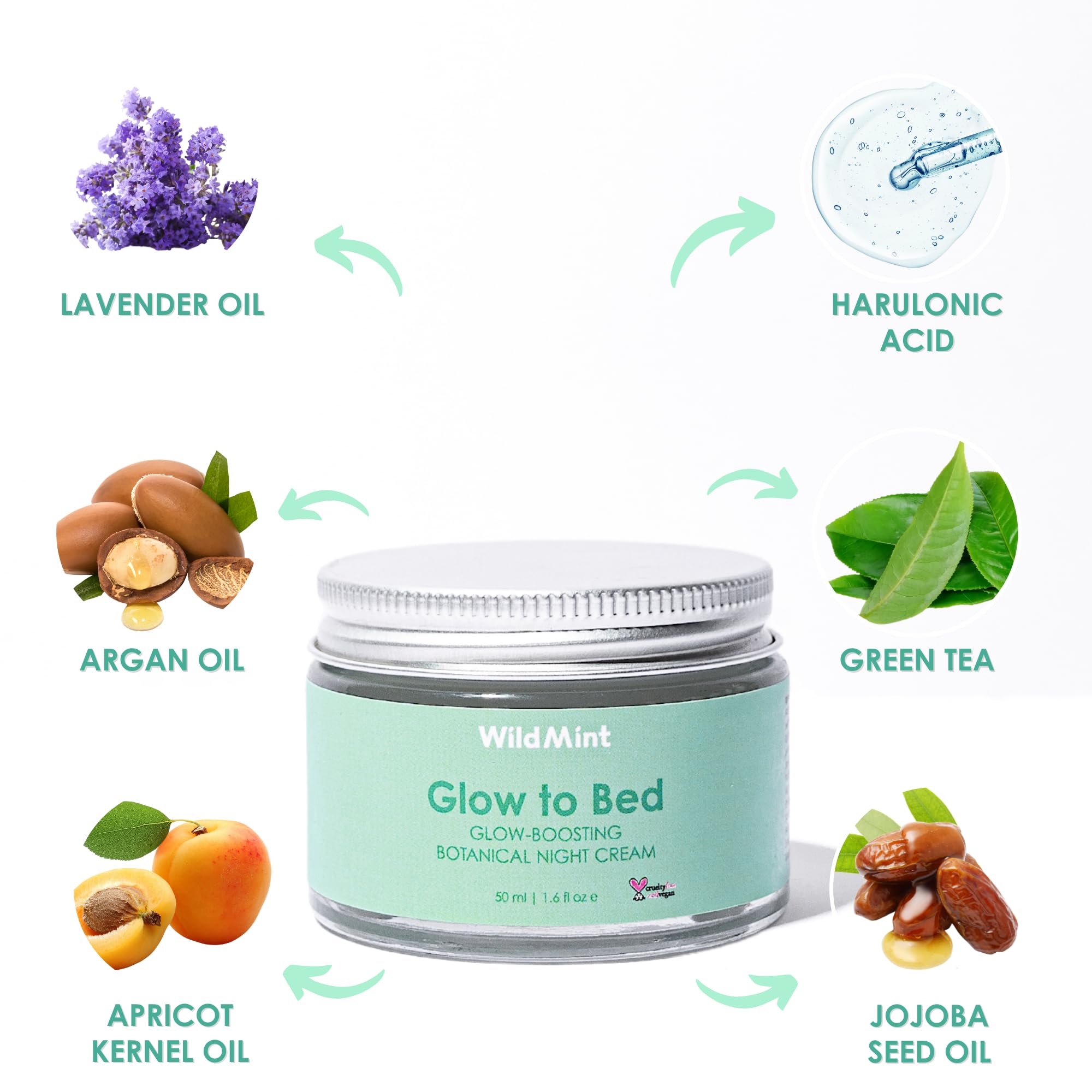 WildMint Glow to Bed Natural Facial Night Cream, 50 ml (Pack of 1) - Image 3