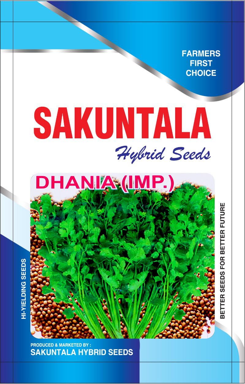 High Germination Fresh Coriander Seeds Dhaniya Patta (Pack of 250 seeds)-image-31