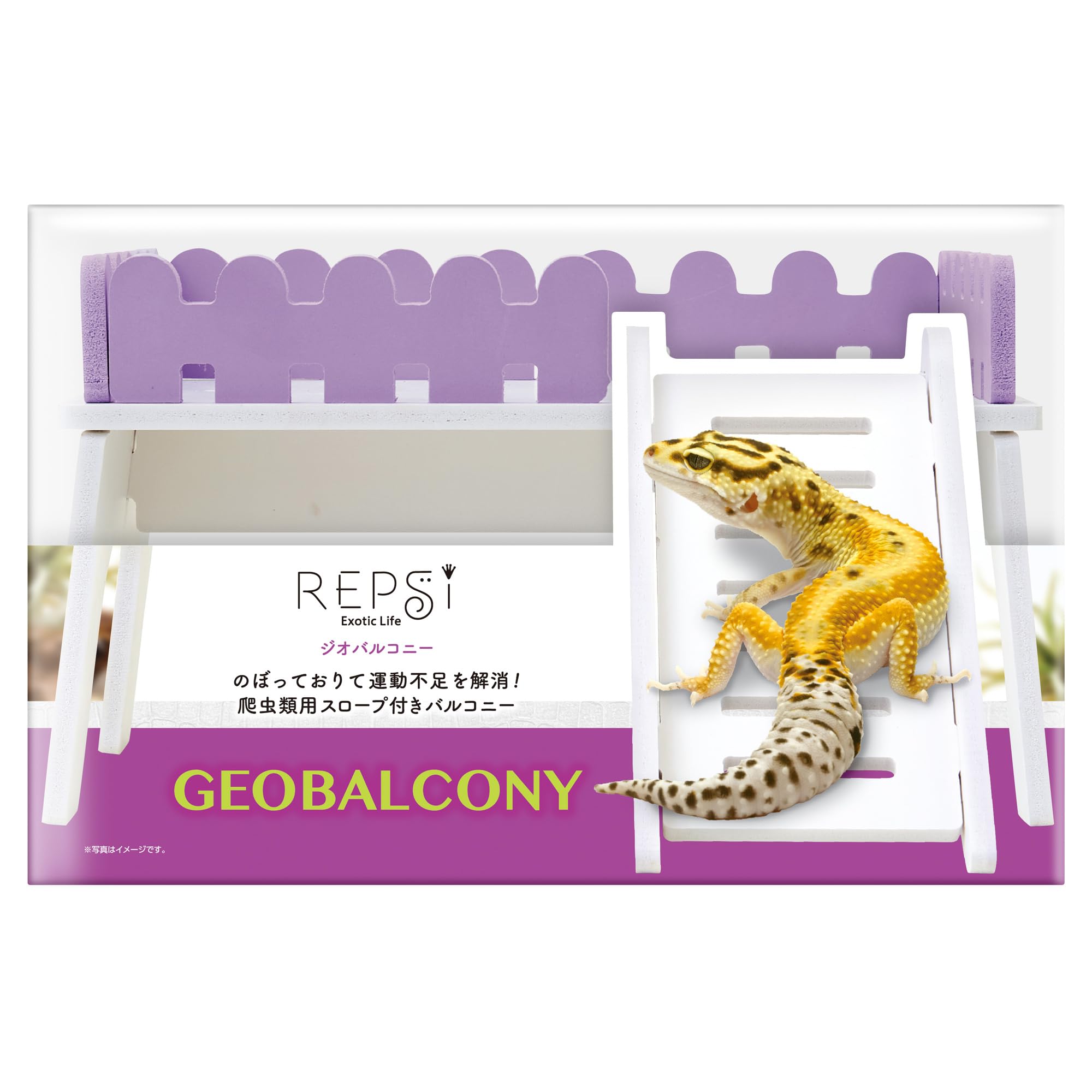 Amazon | REPSi(レプシ) ジオバルコニー 爬虫類用 | REPSi(レプシ
