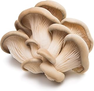 Produce Organic Oyster Mushrooms, 3.5 Oz