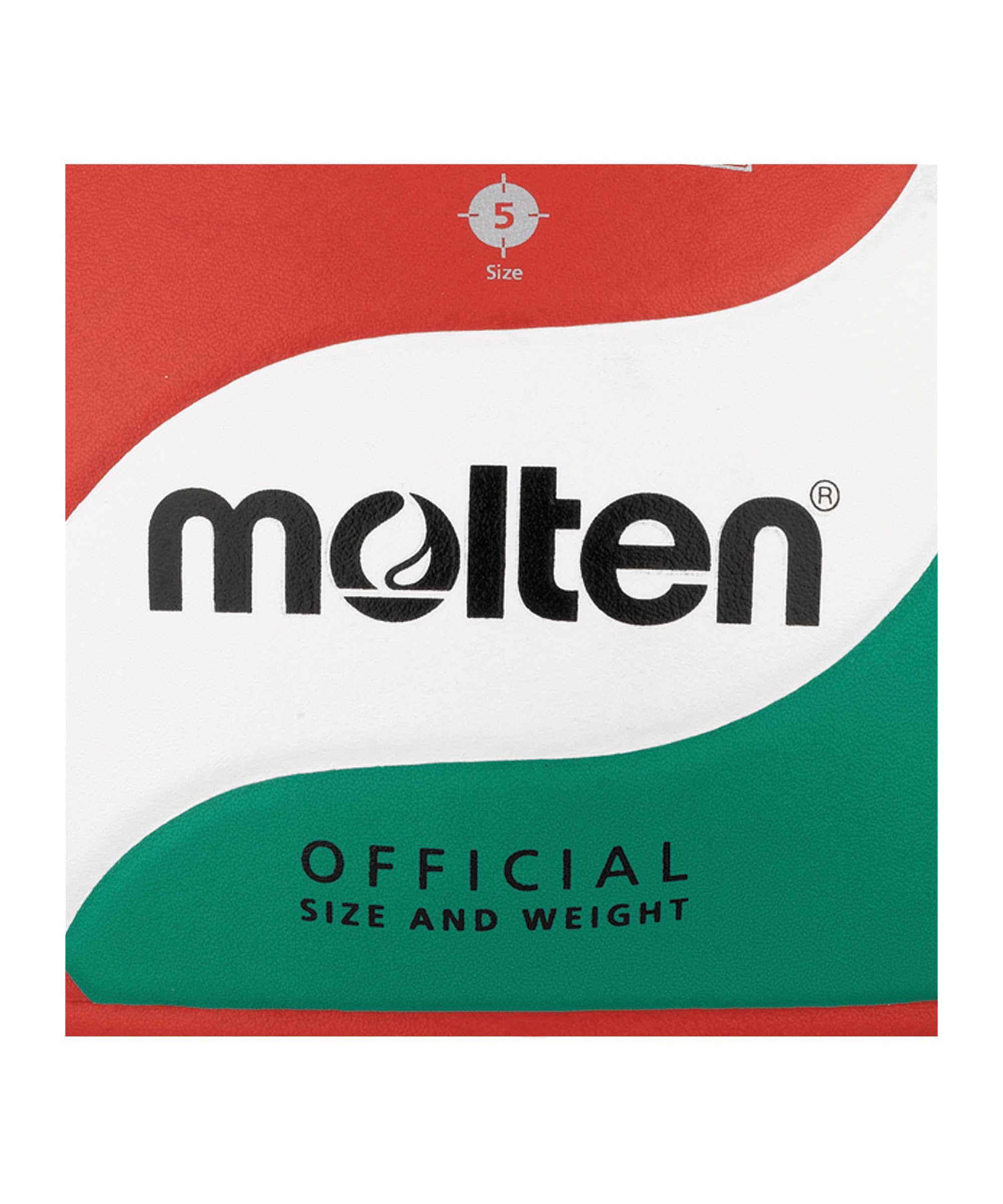 Molten V5M4500-DE Blanco/azul/plata