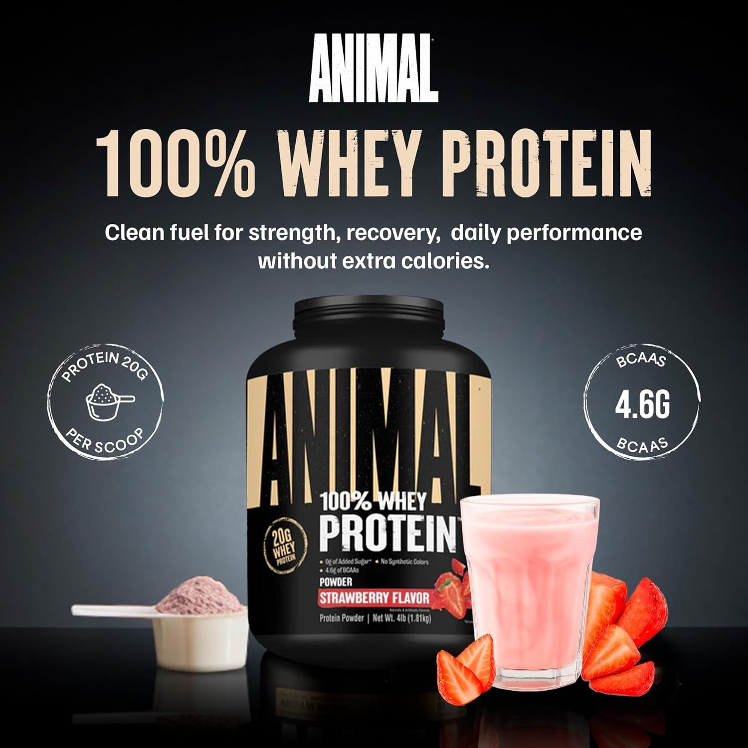 Animal 100% Whey Protein Powder – Whey Blend for Pre or Post Workout, Recovery, Anytime Low Sugar Protein Boost Meal Replacement with BCAA Branched Chain Amino Acids – New Flavor, Strawberry, 4 lb - Image 2