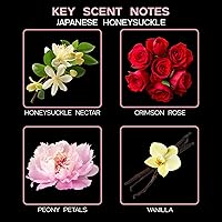 Vista 235 de LOVSPA Aceite Difusor Ocean Driftwood - Aceites Esenciales de Lujo para Recarga de Difusor y Ambientador en Aerosol para Habitaciones - Fragancia