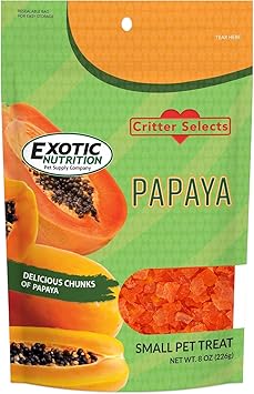 Exotic Nutrition Papaya Treat 1/2 LB - Healthy Natural Dried Fruit Treat - Rabbit, Guinea Pig, Hamster, Gerbil, Rat, Parrot, Sugar Glider, Squirrel, Birds & Small Pets